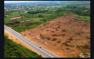 Buying Land in Lagos: 10 Mistakes First-Time Buyers Make By Dennis Isong
