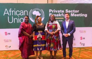 $100 Billion Investment Agenda: The African Union, GIZ, Sterling OneFoundation Rally Private Sector to Invest in Africa’s Women and Youth